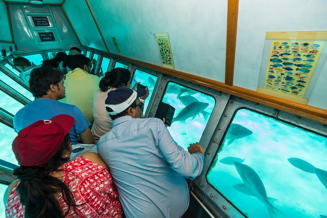 Green Island Day Trip from Cairns - How the day suits different kinds of visitors