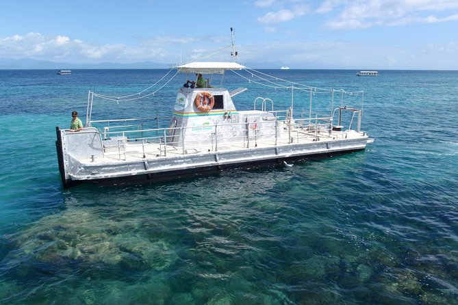 Green Island Half-Day Trip from Cairns - Why the semi-submarine earns the strongest praise