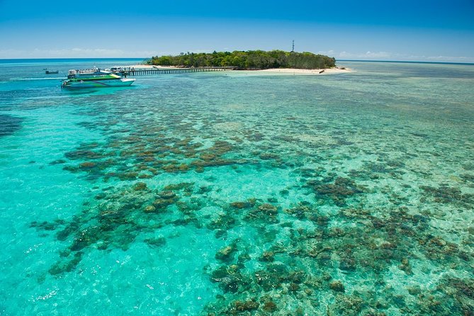 Green Island Half-Day Trip from Cairns - How much value do you get for $83.92?