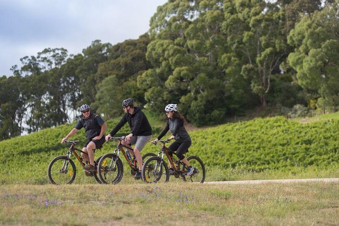 Hahndorf food and wine E-Bike Tour - Key points at a glance