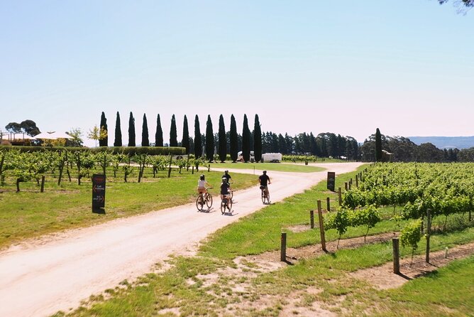 Hahndorf food and wine E-Bike Tour - Shaw and Smith’s five-wine flight