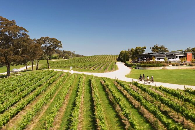 Hahndorf food and wine E-Bike Tour - Finishing with The Lane Vineyard tasting