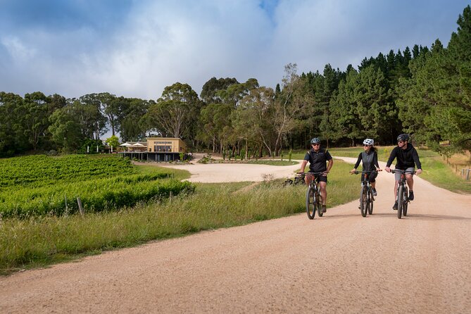 Hahndorf food and wine E-Bike Tour - How much value do you get for $182.90?