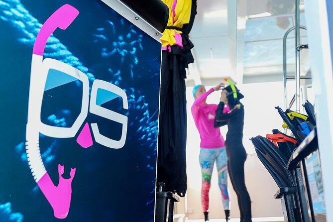 Half Day Great Barrier Reef Snorkeling Tour - The Fast Ride Out To the Outer Reef