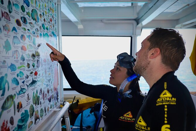 Half Day Great Barrier Reef Snorkeling Tour - Group Size and the Feel of the Boat