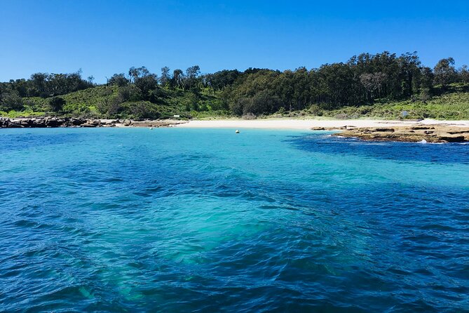 Half-Day Jervis Bay Sea Kayak Tour - Dane’s guiding style and first-time support
