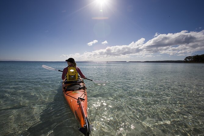 Half-Day Jervis Bay Sea Kayak Tour - Who should book this morning on the bay