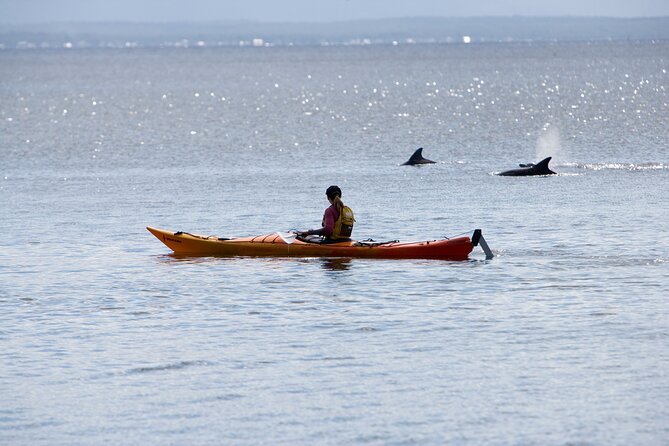 Half-Day Jervis Bay Sea Kayak Tour - Meeting in Huskisson at 7:45 am