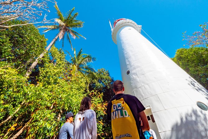 Half Day Low Isles Snorkelling Tour from Port Douglas - Quick reasons to consider this Low Isles trip