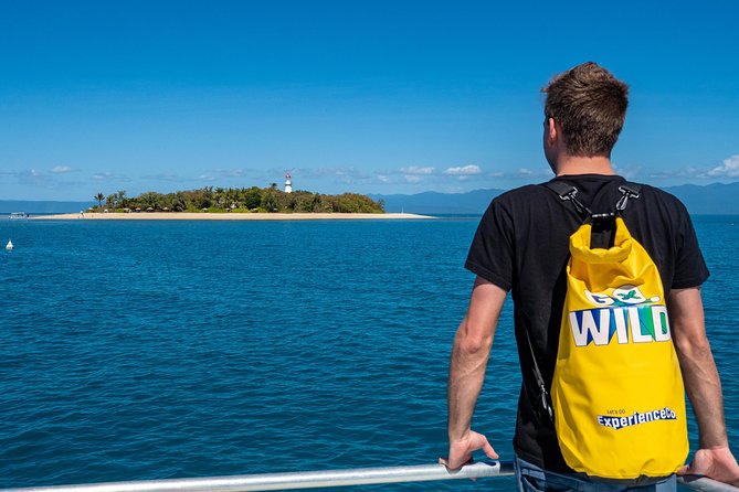 Half Day Low Isles Snorkelling Tour from Port Douglas - Snorkelling in the sheltered lagoon