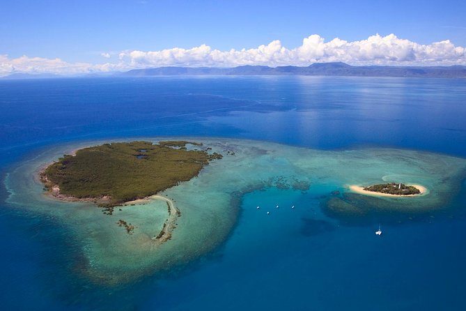 Half Day Low Isles Snorkelling Tour from Port Douglas - The glass-bottom boat for a dry view