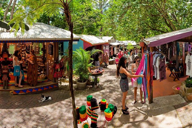 Half Day Low Isles Snorkelling Tour from Port Douglas - Snacks, timing, and the value of $175.72