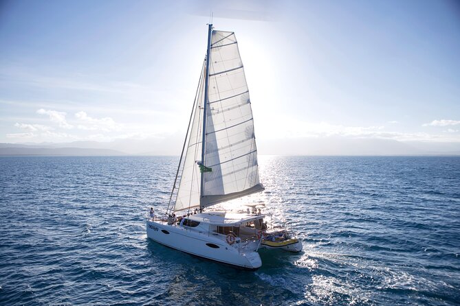 Half Day Low Isles Snorkelling Tour from Port Douglas - The coral question you should not ignore