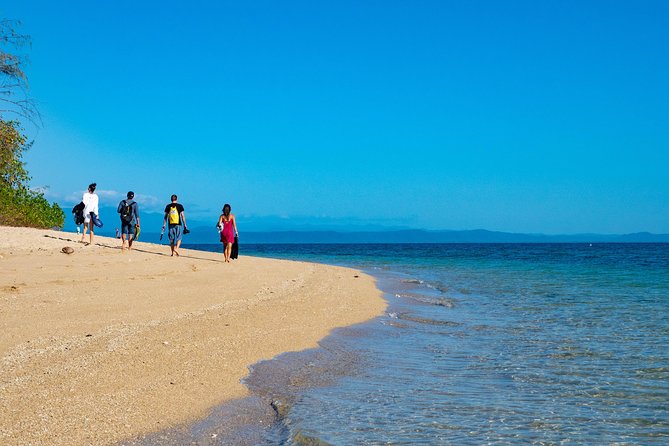 Half Day Low Isles Snorkelling Tour from Port Douglas - What makes Low Isles different