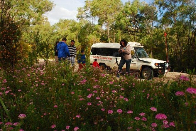 Half-Day Pemberton National Parks Beach and Forest Eco Adventure - Dead Man’s Lake and the changing country