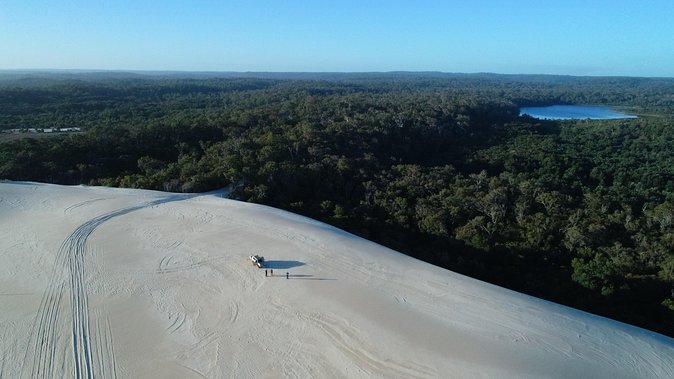 Half-Day Pemberton National Parks Beach and Forest Eco Adventure - Yeagarup Dunes and the fun part of the outing