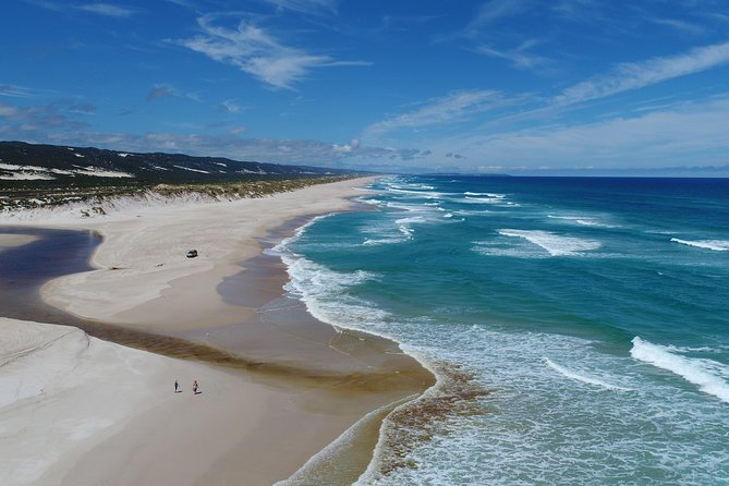 Half-Day Pemberton National Parks Beach and Forest Eco Adventure - What the guide adds to the experience