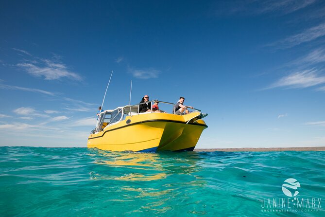 Half Day Snorkel 2.5hr Turtle Tour on the Ningaloo Reef, Exmouth - A small boat and a big stretch of Ningaloo Reef