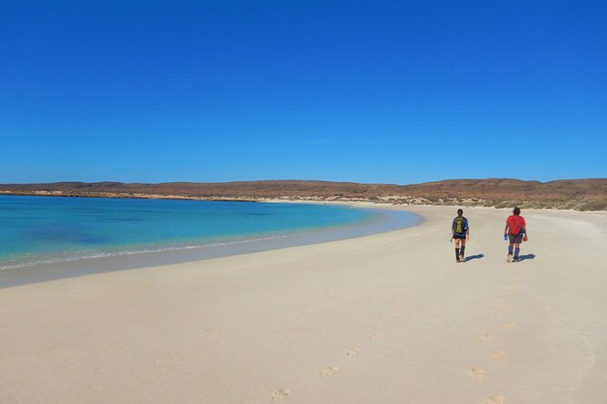 Half Day Snorkel 2.5hr Turtle Tour on the Ningaloo Reef, Exmouth - The crew makes the difference
