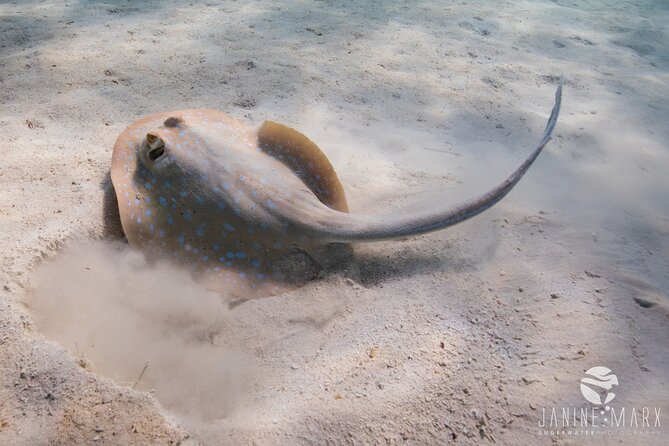 Half Day Snorkel 2.5hr Turtle Tour on the Ningaloo Reef, Exmouth - How the boat handles changing conditions