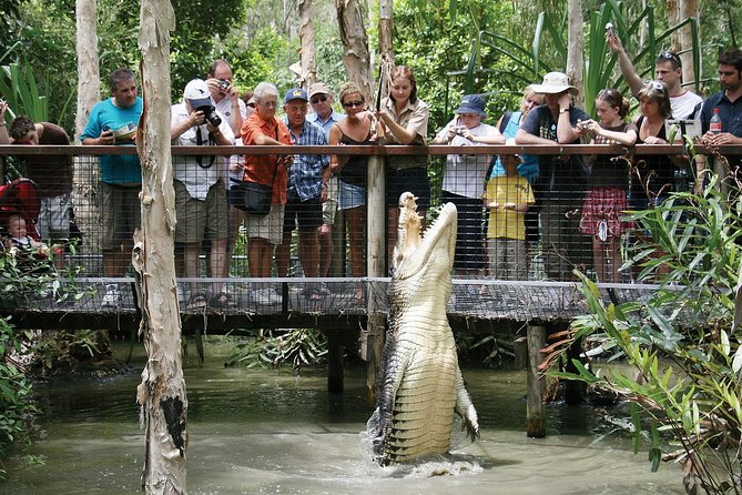 Hartley’s Crocodile Adventures Half-Day Tour from Cairns - Key points to know before booking
