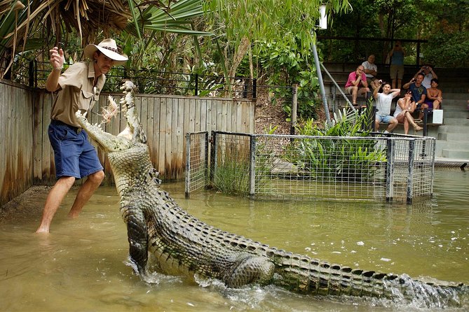 Hartley’s Crocodile Adventures Half-Day Tour from Cairns - Getting there by coach from Cairns or Palm Cove