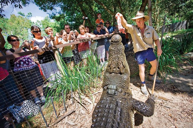 Hartley’s Crocodile Adventures Half-Day Tour from Cairns - Walking through five wildlife zones