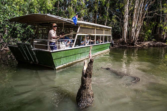 Hartley’s Crocodile Adventures Half-Day Tour from Cairns - Learning about the working crocodile farm