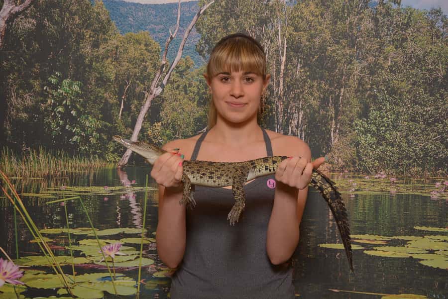 Hartley's Crocodile Adventures Park Entry - Key points at a glance