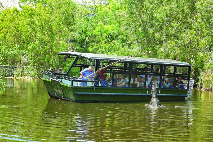 Hartley's Crocodile Adventures Park Entry - Why Hartley’s makes a strong Cairns day trip