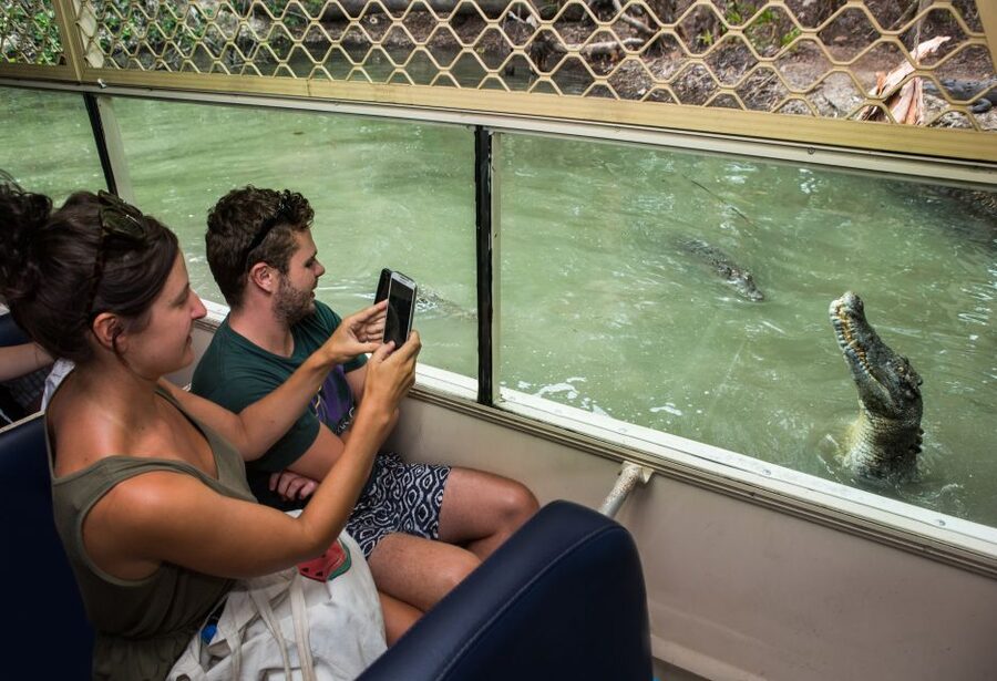 Hartley's Crocodile Adventures Park Entry - Make time for snakes and smaller reptiles