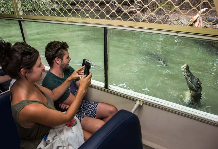 Hartley's Crocodile Adventures Park Entry - Explore the wetland boardwalks between shows