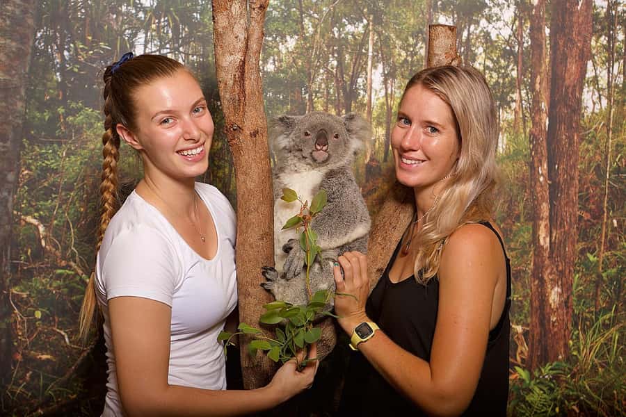 Hartley's Crocodile Adventures Park Entry - Meet Australian wildlife beyond the crocodiles
