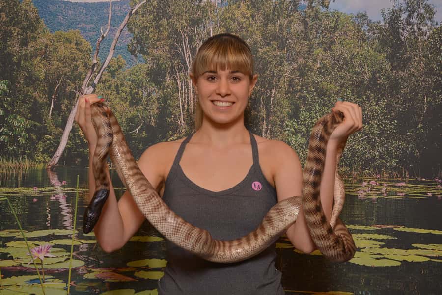 Hartley's Crocodile Adventures Park Entry - Start with the boat cruise and crocodile feeding