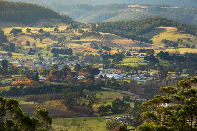 Hastings Caves, Tahune Airwalk and the Huon Tasting Trail - Hastings Caves: Tasmania underground