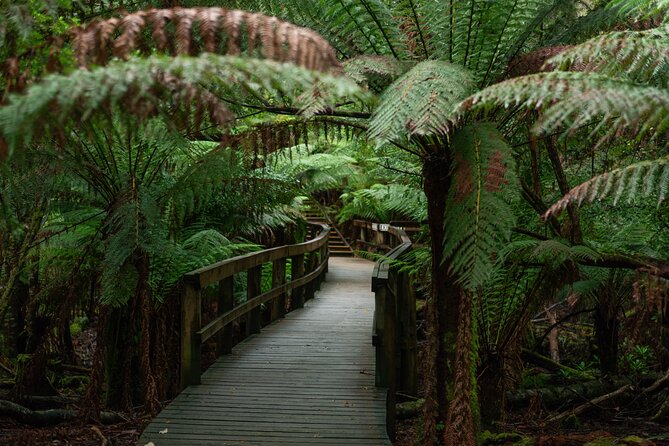Hastings Caves, Tahune Airwalk and the Huon Tasting Trail - Cider, apple pie, and the ride home