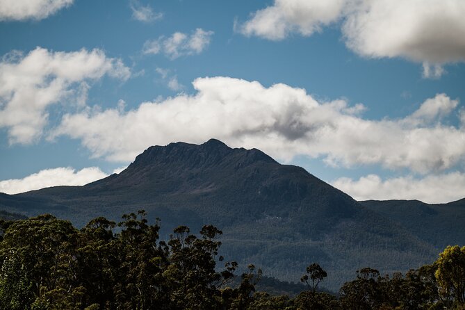 Hastings Caves, Tahune Airwalk and the Huon Tasting Trail - Who should book this experience?