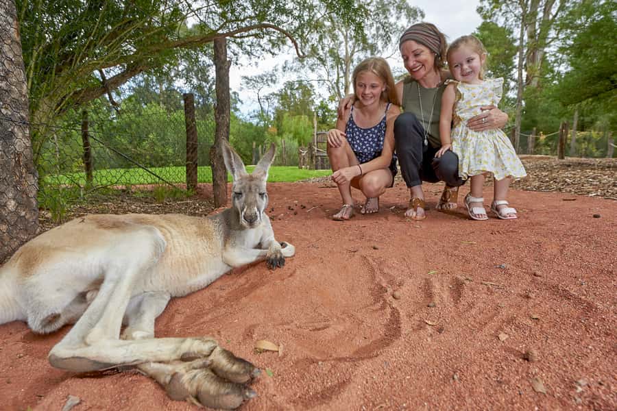 Healesville Sanctuary: General Admission Ticket - Start with a map and a simple plan