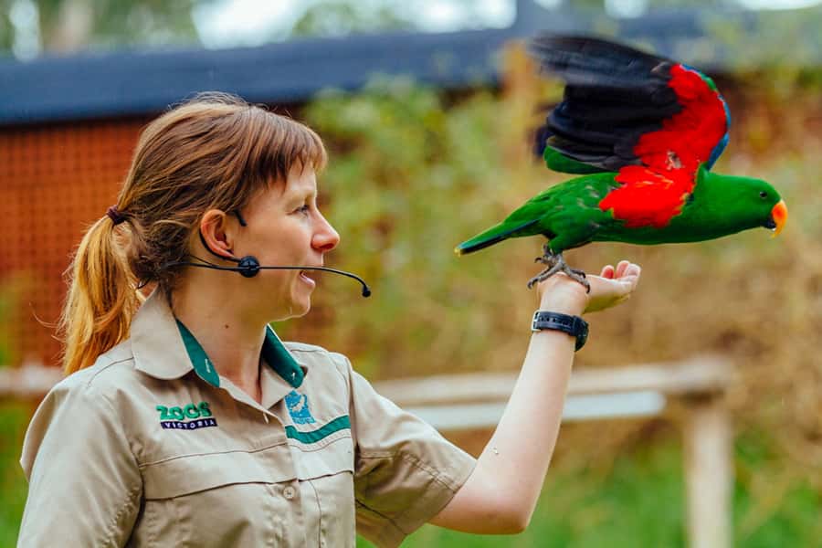Healesville Sanctuary: General Admission Ticket - Who will enjoy Healesville Sanctuary most