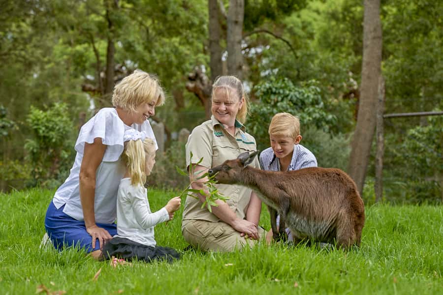 Healesville Sanctuary: General Admission Ticket - Arriving from Melbourne or the Yarra Valley