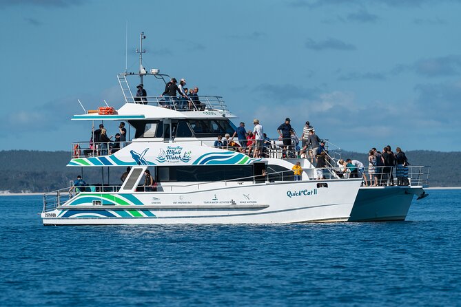 Hervey Bay: Best Value Half Day Whale Watching Cruise - Key points at a glance