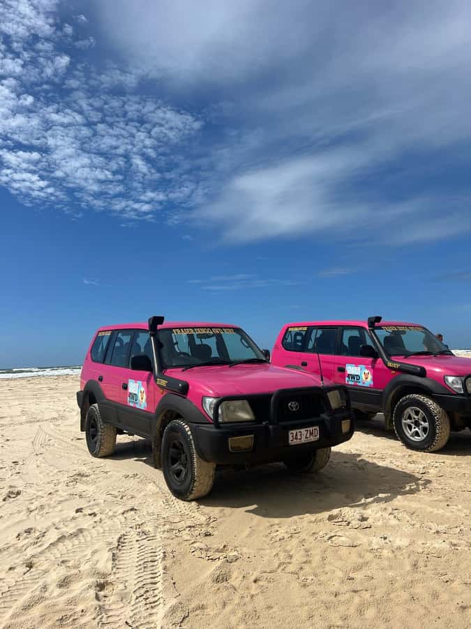 Hervey Bay to K'gari/Fraser Island 2-Day Tour (Beach House) - What the $417 price really covers