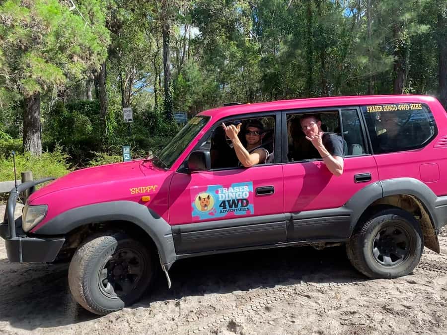 Hervey Bay to K'gari/Fraser Island 2-Day Tour (Beach House) - Wildlife, safety, and the rules that matter