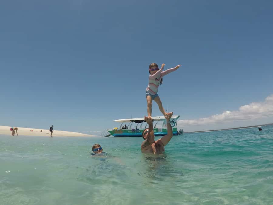 Hervey Bay: Turtle Discovery Eco Tour - Swimming, snorkeling, and beach time