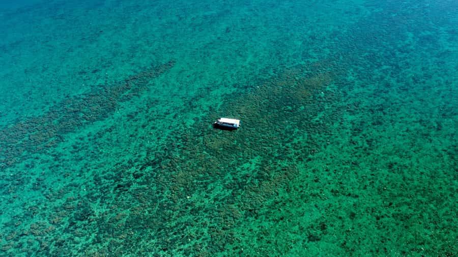 Hervey Bay: Turtle Discovery Eco Tour - Cruising through the Great Sandy Marine Park
