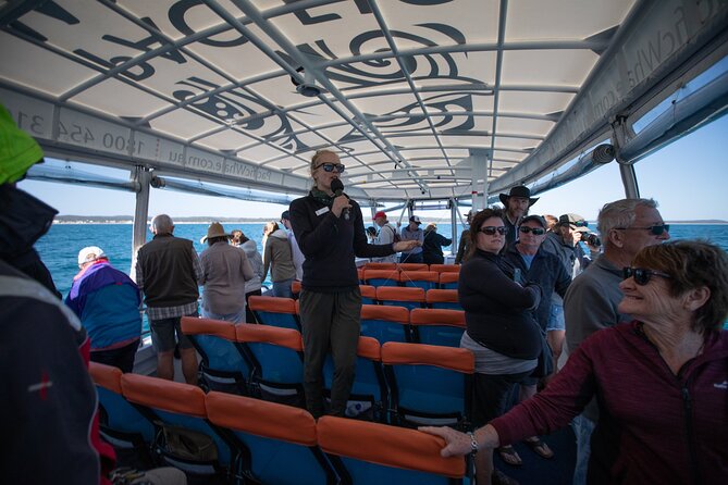 Hervey Bay Ultimate Whale Watching Cruise - Snacks, Drinks, and What to Wear