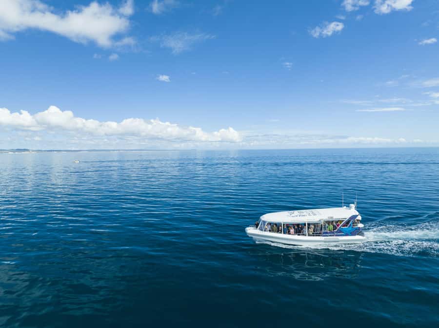 Hervey Bay: Ultimate Whale Watching Experience - Snacks, shade, and the small comforts