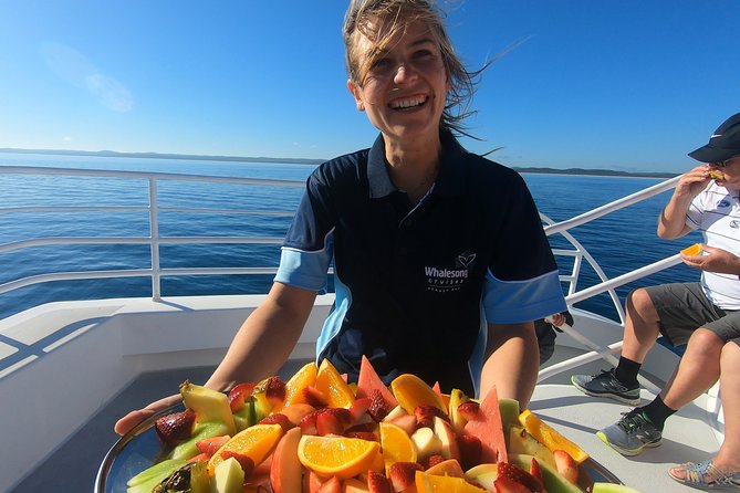 Hervey Bay Whale Watching Experience - Key points at a glance
