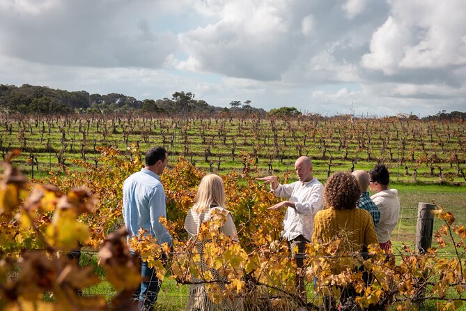 Hidden Gems: Boutique Full-Day Wine, Farm & Lunch Tour - Ashbrook Estate begins the winery portion