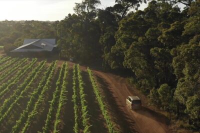 Hidden Gems: Boutique Full-Day Wine, Farm & Lunch Tour